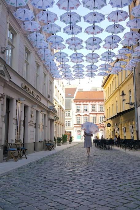 Diamond Residence In Old Town With Free Parking Братислава Екстер'єр фото