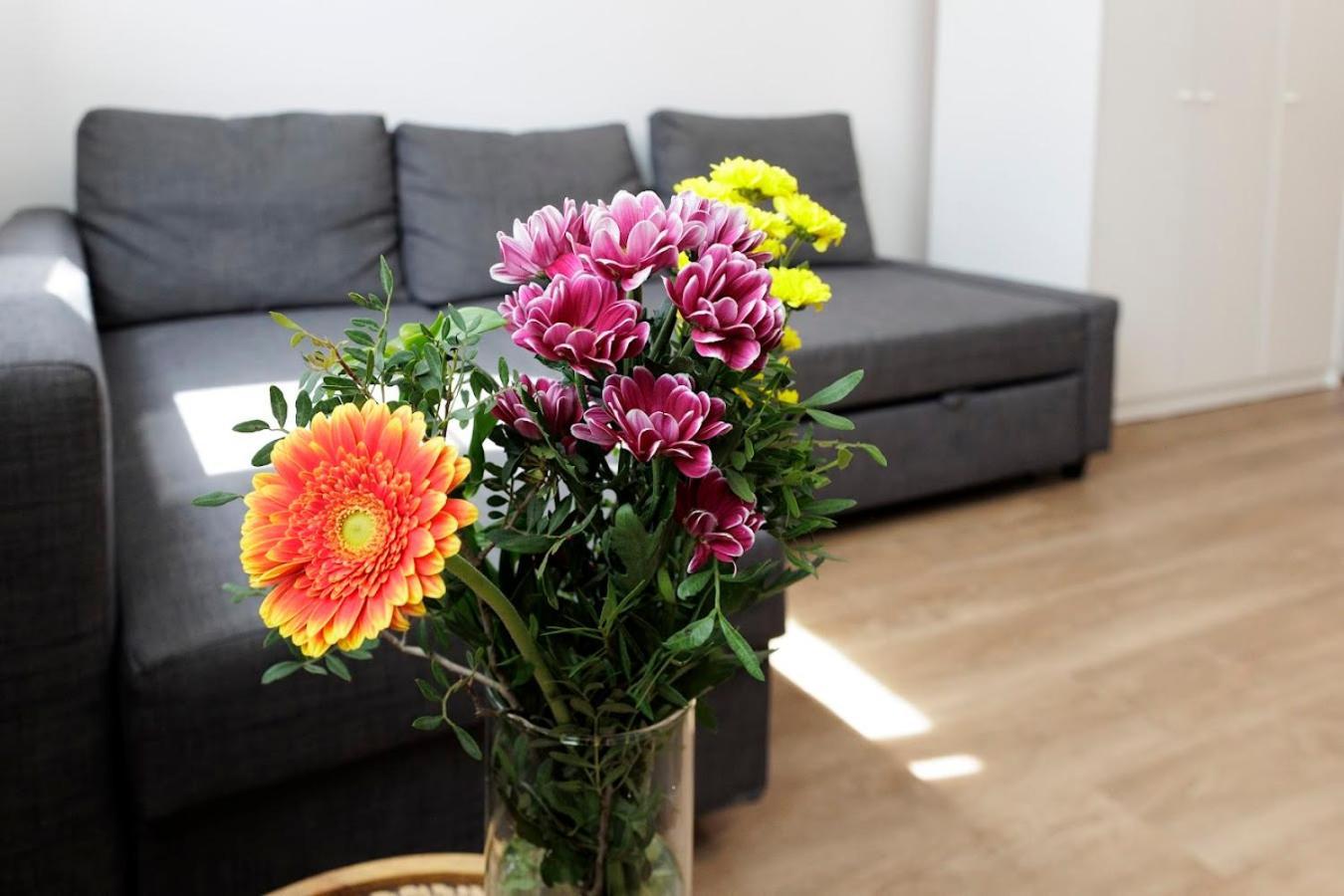 Diamond Residence In Old Town With Free Parking Братислава Екстер'єр фото